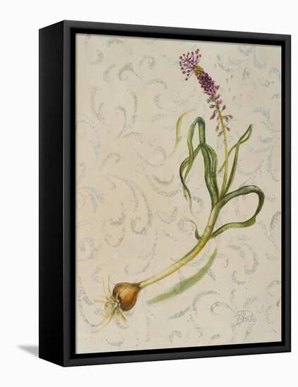 Botanica IV-Patricia Pinto-Framed Stretched Canvas