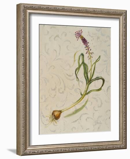 Botanica IV-Patricia Pinto-Framed Art Print