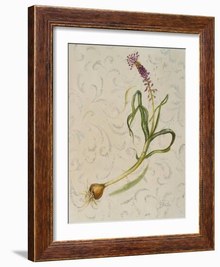 Botanica IV-Patricia Pinto-Framed Art Print