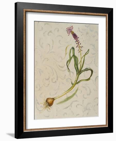 Botanica IV-Patricia Pinto-Framed Art Print