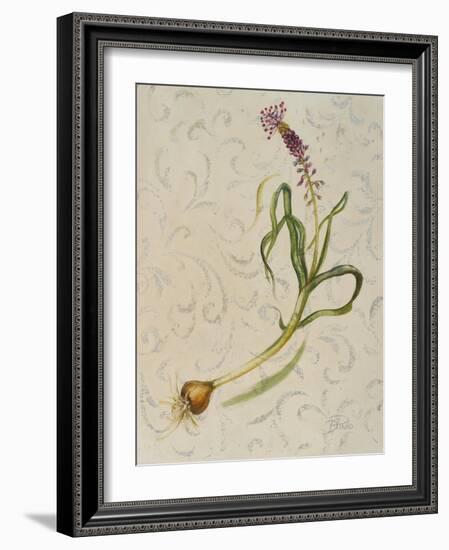 Botanica IV-Patricia Pinto-Framed Art Print