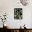 Botanica Medley-Kristine Hegre-Mounted Giclee Print displayed on a wall