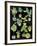 Botanica Medley-Kristine Hegre-Framed Giclee Print