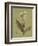 Botanica Verde II-John Seba-Framed Premium Giclee Print