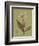 Botanica Verde II-John Seba-Framed Premium Giclee Print