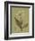 Botanica Verde II-John Seba-Framed Premium Giclee Print