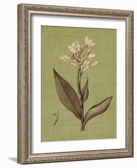 Botanica Verde II-John Seba-Framed Art Print