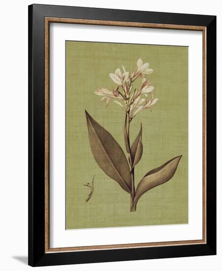 Botanica Verde II-John Seba-Framed Art Print