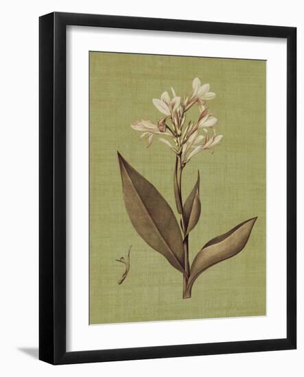 Botanica Verde II-John Seba-Framed Art Print