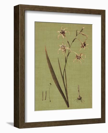 Botanica Verde IV-John Seba-Framed Premium Giclee Print