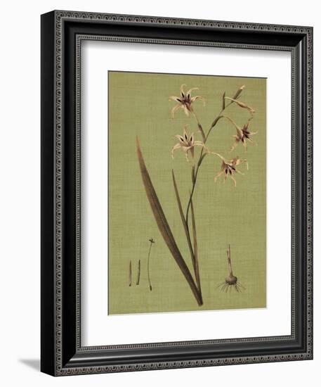 Botanica Verde IV-John Seba-Framed Premium Giclee Print