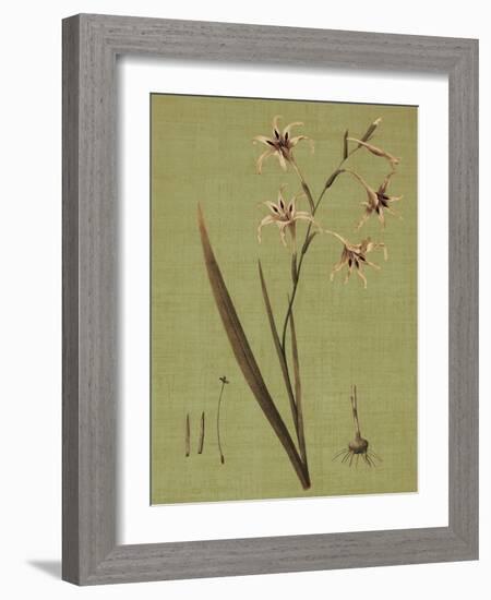 Botanica Verde IV-John Seba-Framed Art Print
