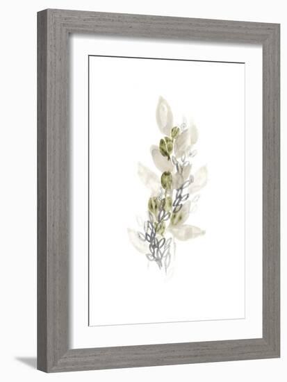 Botanica Whimsy III-June Vess-Framed Art Print