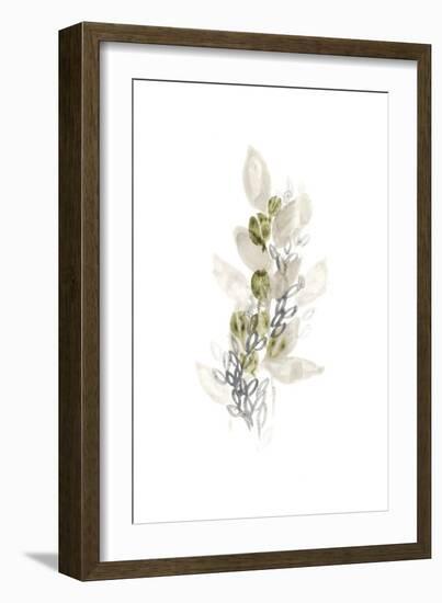 Botanica Whimsy III-June Vess-Framed Art Print