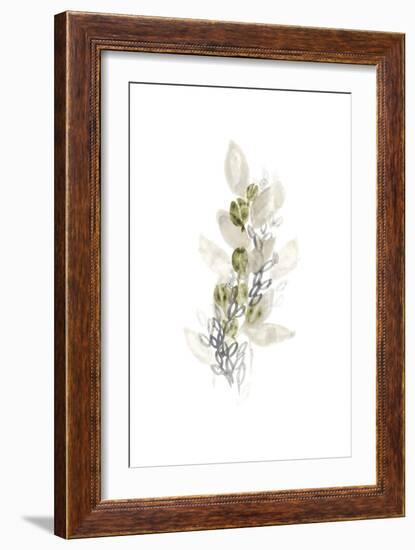 Botanica Whimsy III-June Vess-Framed Art Print