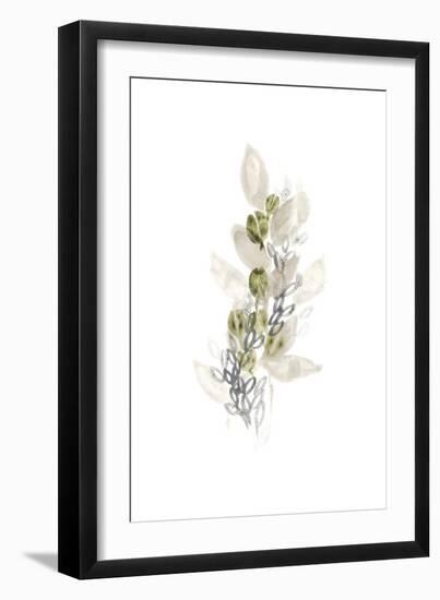 Botanica Whimsy III-June Vess-Framed Art Print