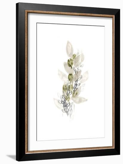 Botanica Whimsy III-June Vess-Framed Art Print