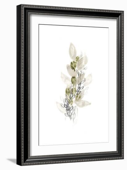 Botanica Whimsy III-June Vess-Framed Art Print