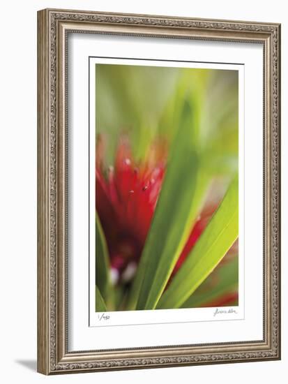 Botanical 1-Florence Delva-Framed Limited Edition