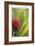Botanical 1-Florence Delva-Framed Limited Edition