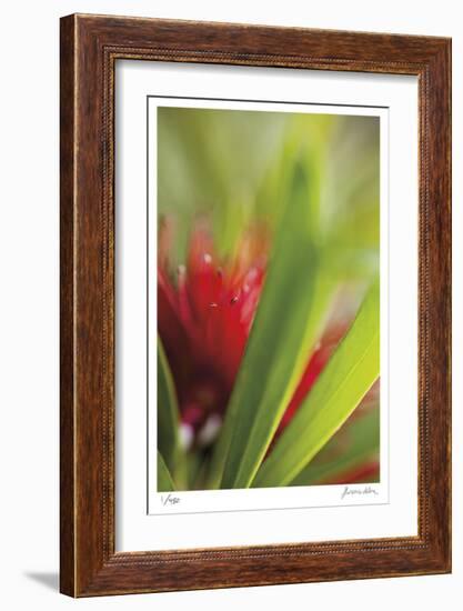 Botanical 1-Florence Delva-Framed Limited Edition