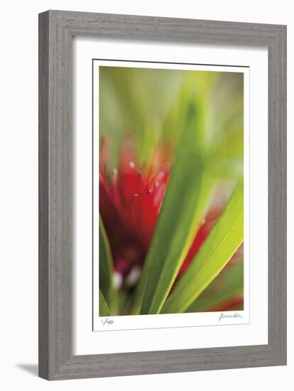 Botanical 1-Florence Delva-Framed Limited Edition