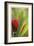 Botanical 1-Florence Delva-Framed Limited Edition