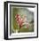 Botanical 2-Florence Delva-Framed Limited Edition