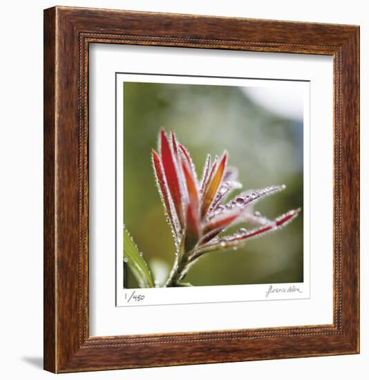 Botanical 2-Florence Delva-Framed Limited Edition