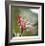 Botanical 2-Florence Delva-Framed Limited Edition