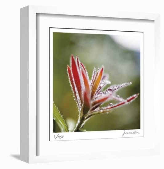 Botanical 2-Florence Delva-Framed Limited Edition