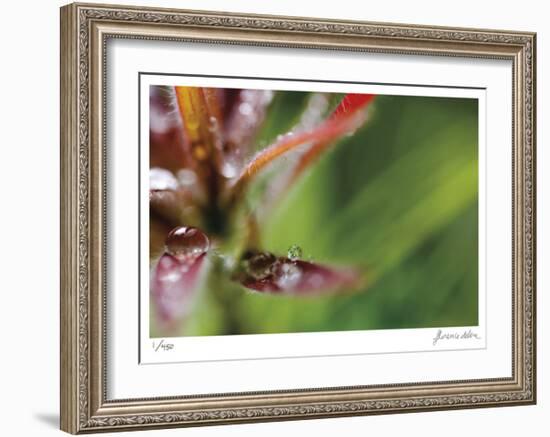 Botanical 3-Florence Delva-Framed Limited Edition