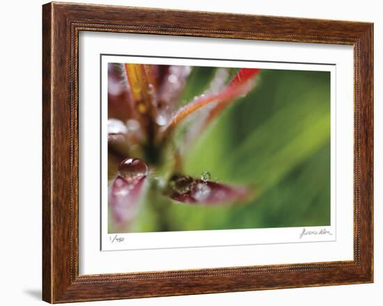 Botanical 3-Florence Delva-Framed Limited Edition