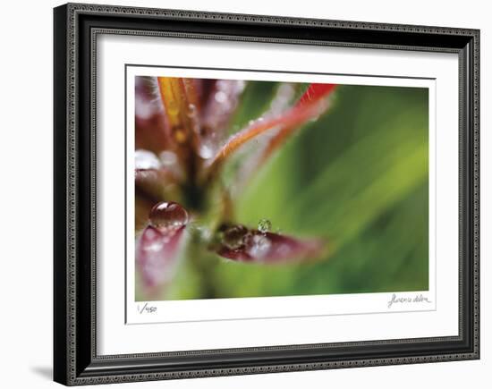 Botanical 3-Florence Delva-Framed Limited Edition