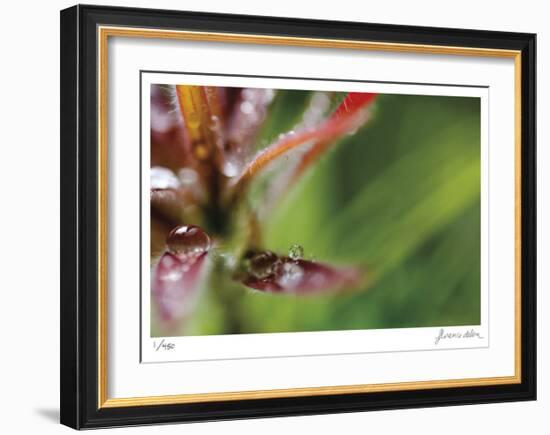 Botanical 3-Florence Delva-Framed Limited Edition