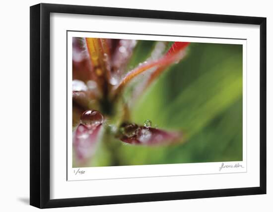 Botanical 3-Florence Delva-Framed Limited Edition