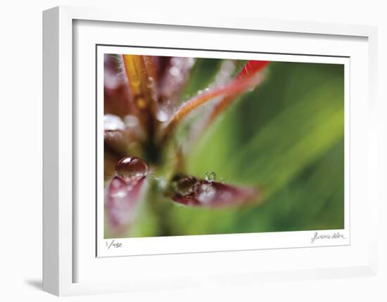 Botanical 3-Florence Delva-Framed Limited Edition