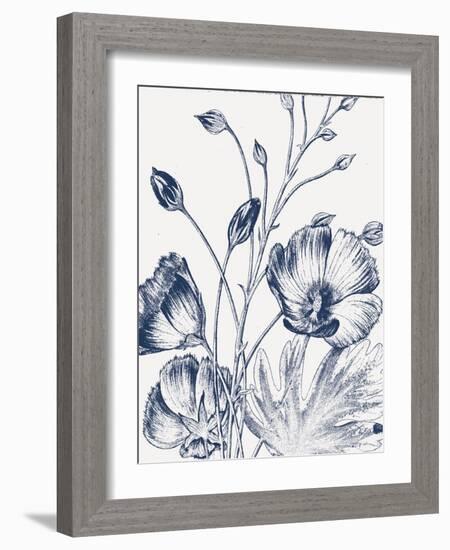 Botanical Beauty Chalk IX Blue on White Crop-Wild Apple Portfolio-Framed Art Print