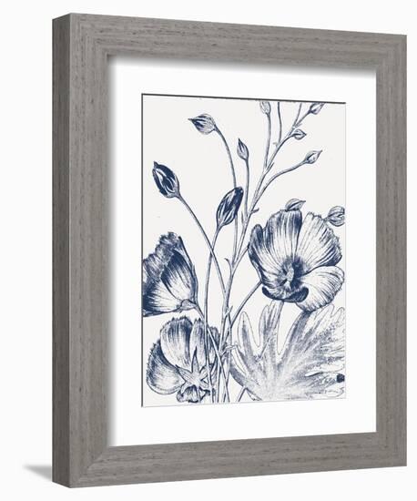 Botanical Beauty Chalk IX Blue on White Crop-Wild Apple Portfolio-Framed Premium Giclee Print