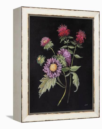 Botanical Beauty I-Julia Purinton-Framed Stretched Canvas