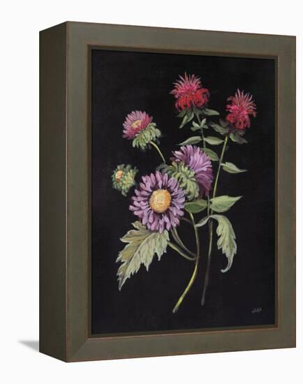 Botanical Beauty I-Julia Purinton-Framed Stretched Canvas