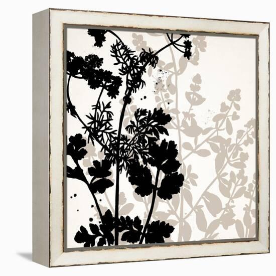 Botanical Black 1-Kimberly Allen-Framed Stretched Canvas