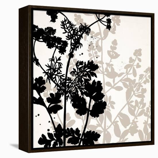 Botanical Black 1-Kimberly Allen-Framed Stretched Canvas