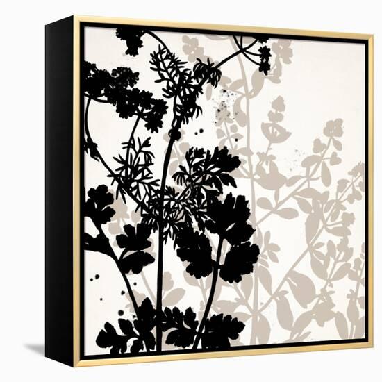 Botanical Black 1-Kimberly Allen-Framed Stretched Canvas