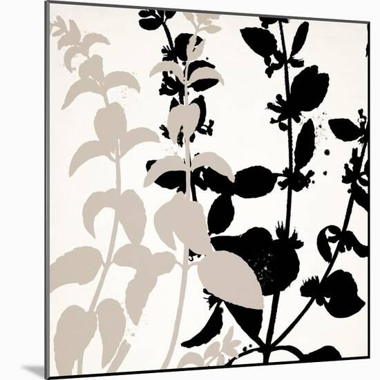 Botanical Black 2-Kimberly Allen-Mounted Art Print