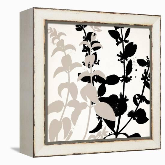 Botanical Black 2-Kimberly Allen-Framed Stretched Canvas