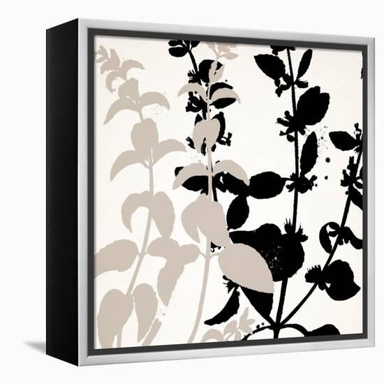 Botanical Black 2-Kimberly Allen-Framed Stretched Canvas