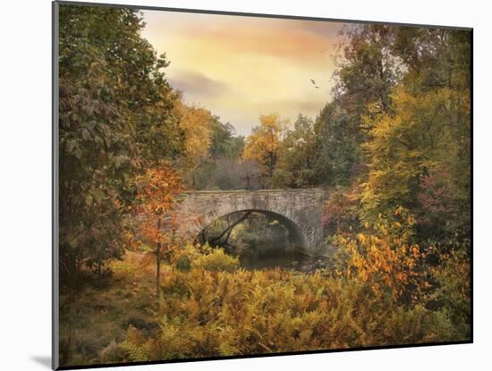 Botanical Bridge-Jessica Jenney-Mounted Photographic Print