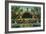 'Botanical Building and Lagoon. San Diego, California', c1941-Unknown-Framed Giclee Print