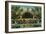 'Botanical Building and Lagoon. San Diego, California', c1941-Unknown-Framed Giclee Print